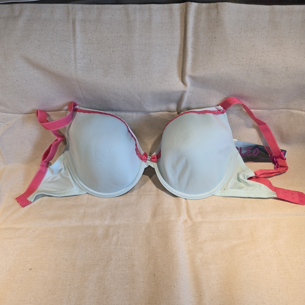 Cleo By Panache Jude 5846 Pink and Blue Underwire Bra with Molded Cups